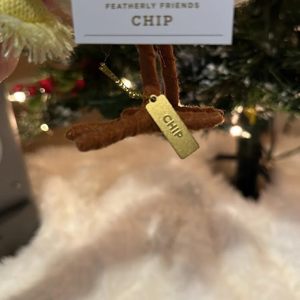 New 2023 Chip, Target Birds, Holiday, WonderShop, Featherly Friends